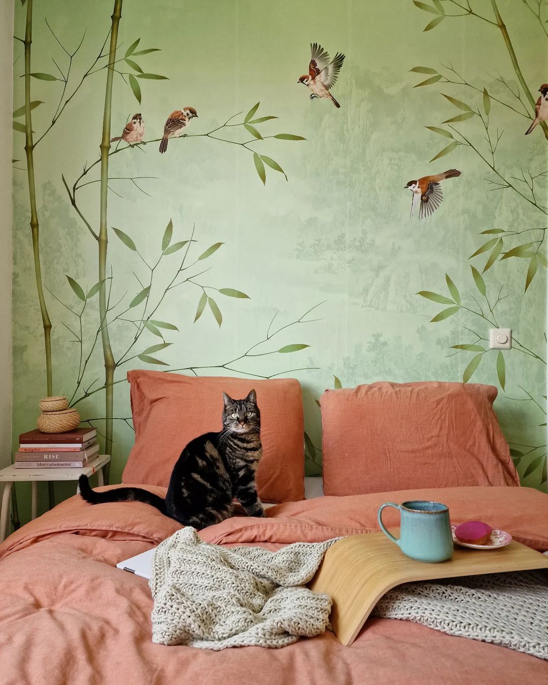 Tabby cat sits on a coral bed with a breakfast tray, mug, and pastry. Bamboo and bird wallpaper.