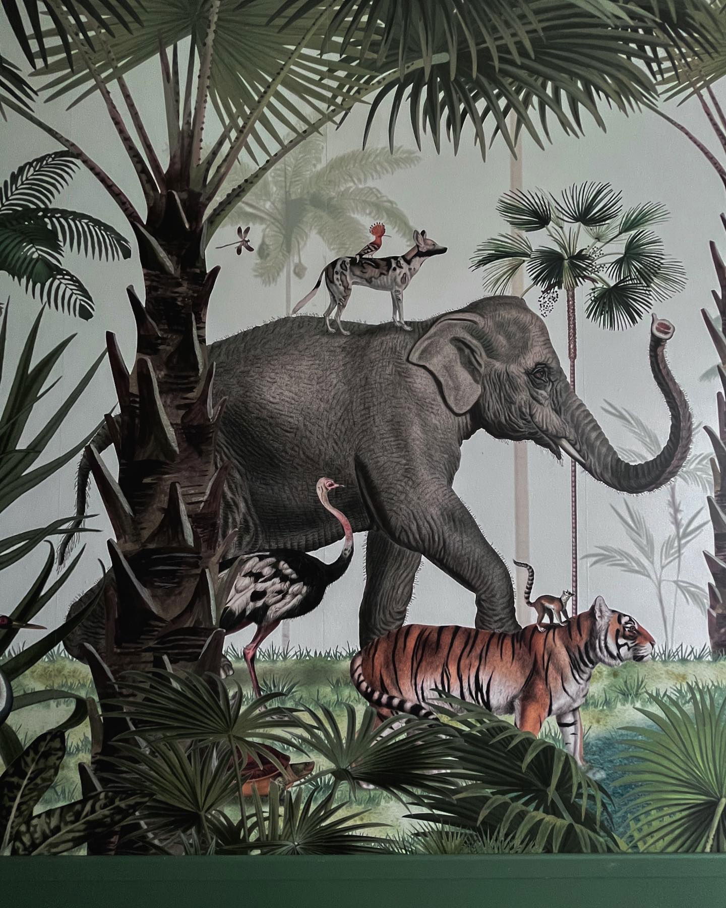 Jungel-tema bakgrunnsbilde med en elefant, tiger, hund, struts og ape.