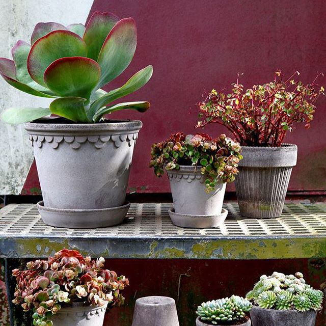 Copenhagen Pot Grey, 14 cm from Bergs Potter | RoyalDesign