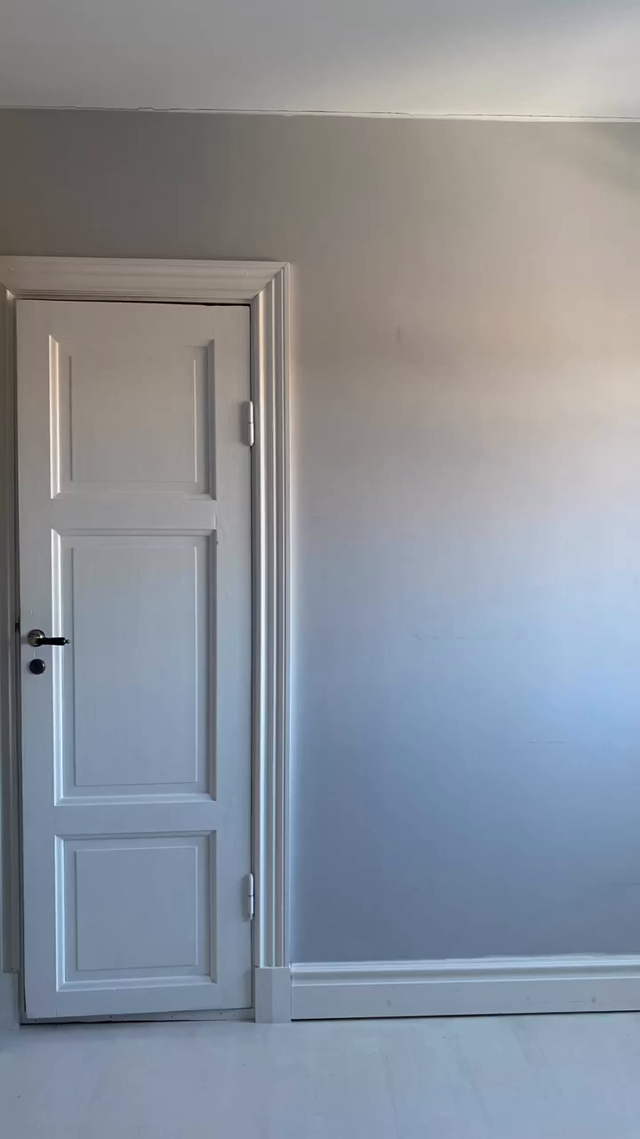 A white paneled door with a silver handle against a light gray wall.
