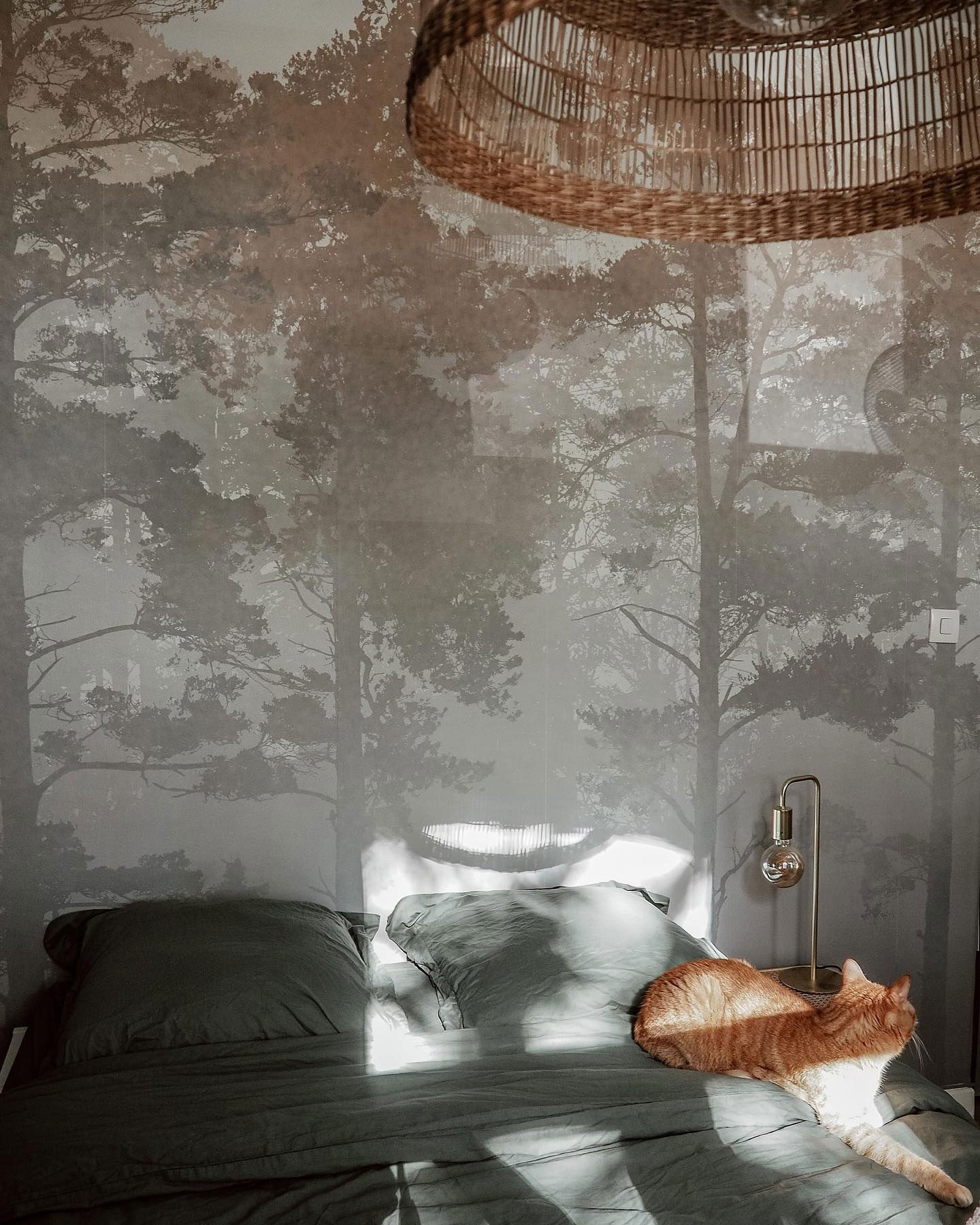 Bedroom with forest wallpaper, woven light fixture, and orange cat on green bedding.
