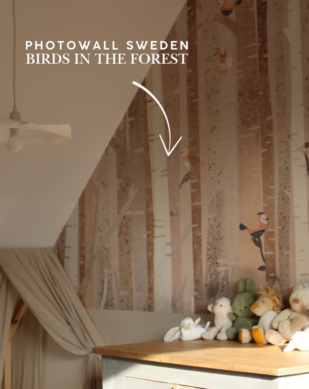 Wallpaper with birch trees and cartoon birds. Plush toys on dresser.