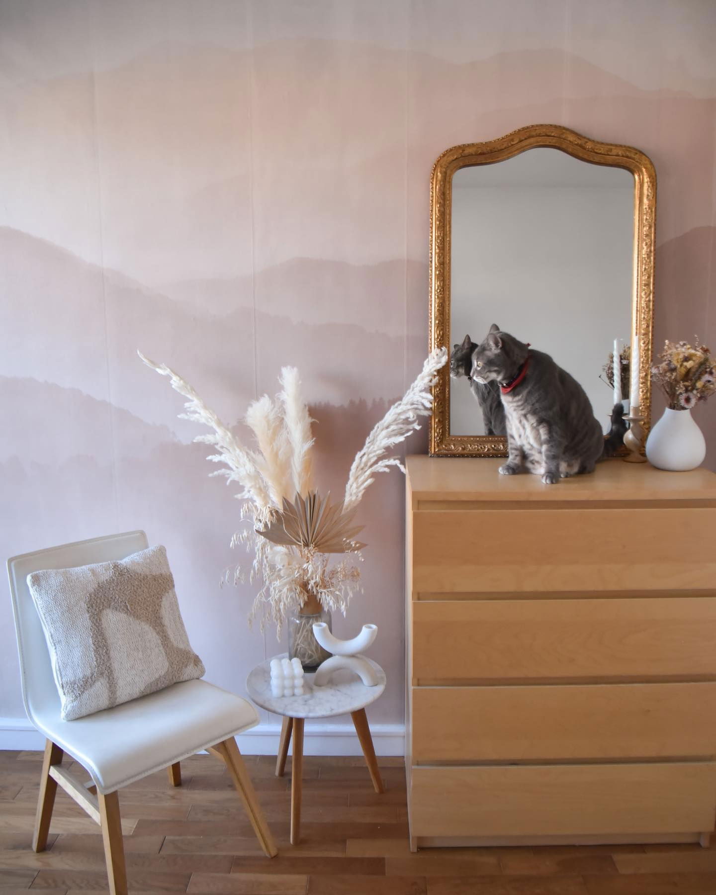 Interieur met grijze kat die op een houten dressoir zit voor een gouden spiegel.