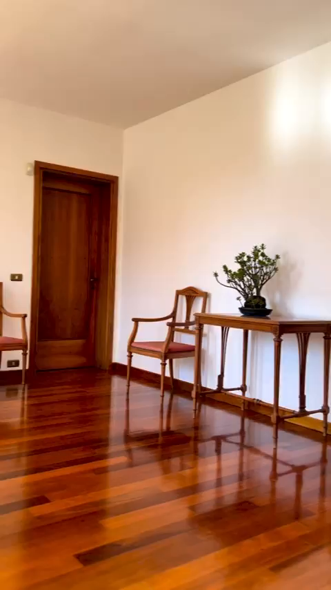 Interior with wood floors, chairs, table, and bonsai tree.