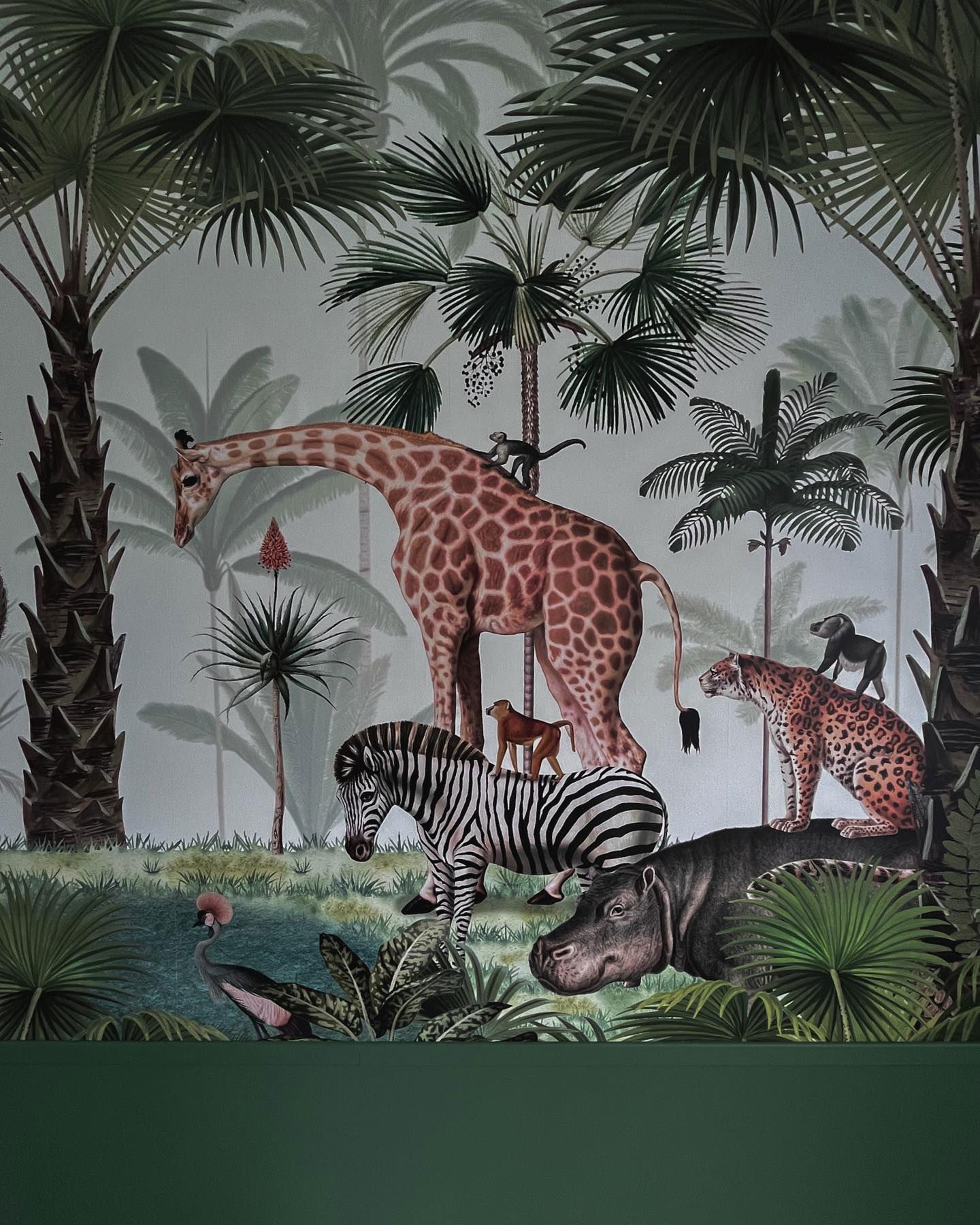 Jungel-tema bakgrunnsbilde med sjiraff, sebra, flodhest, leopard og ape.