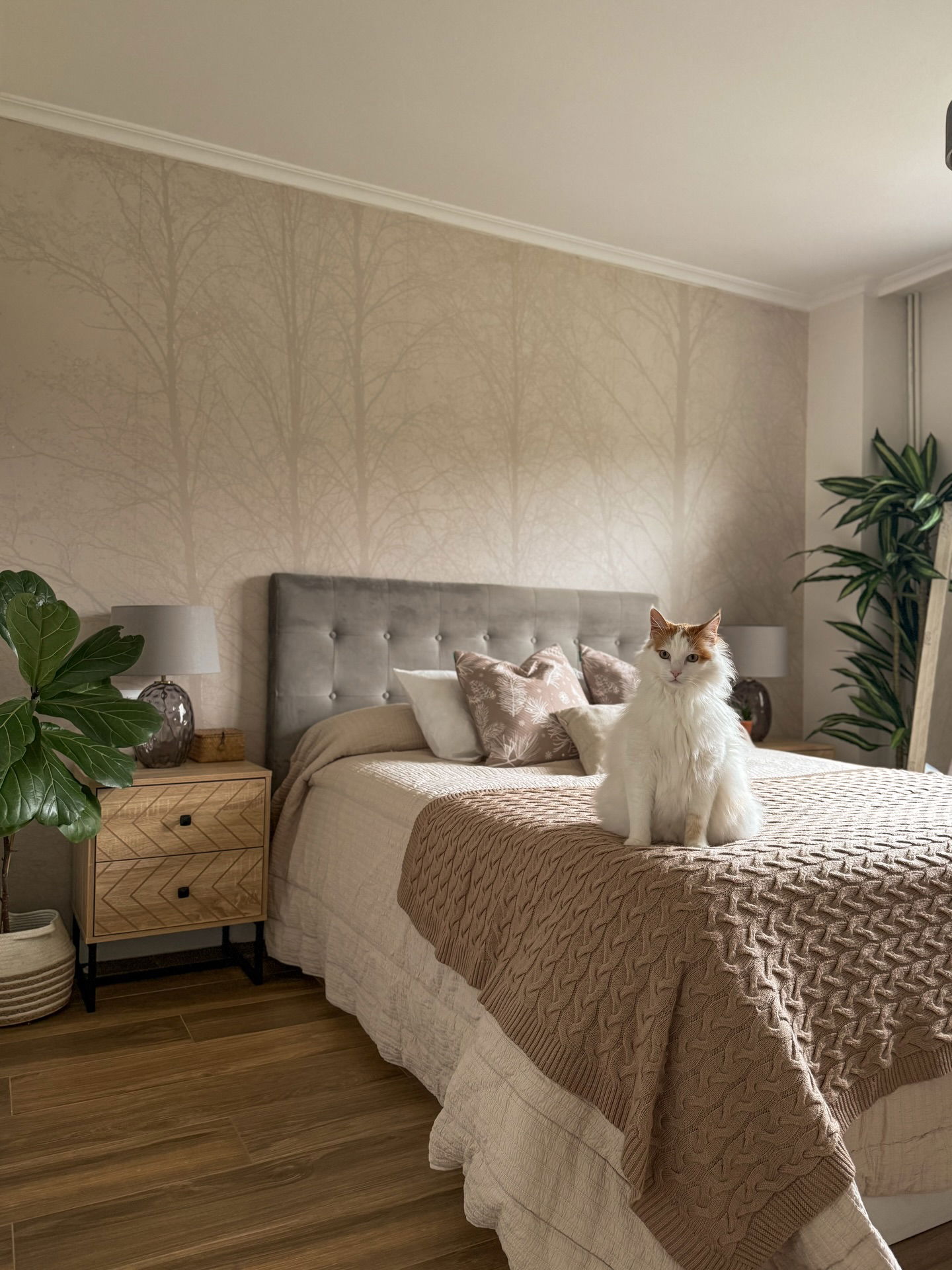 Fluffige weiße und orangefarbene Katze sitzt auf einem Bett mit einem getufteten Kopfteil und einer gemusterten Decke.