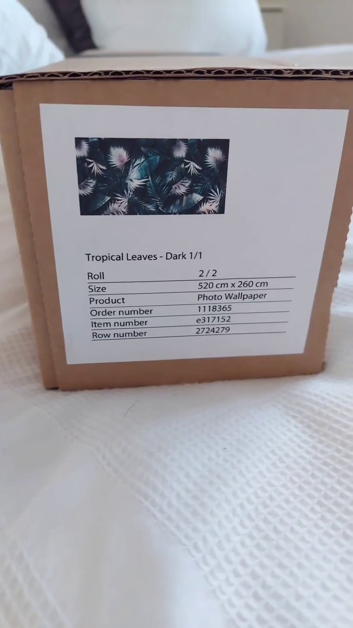 Cardboard box with label for "Tropical Leaves - Dark 1/1" photo wallpaper, size 520x260cm.