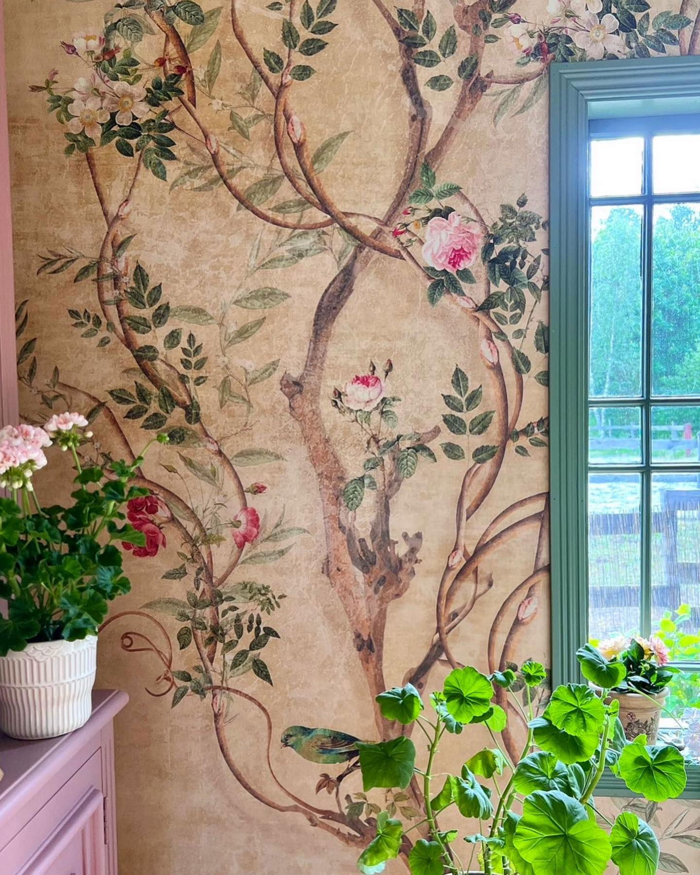 Interiør med blomstret tapet, grøn vinduesramme og pottegeranier.