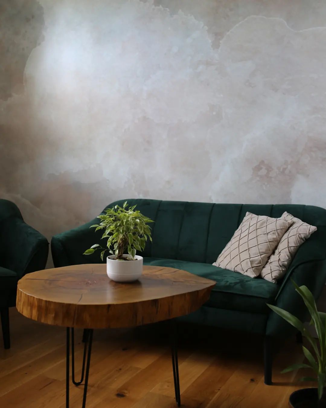 Sala de estar con sofá de terciopelo verde, mesa de madera con planta y cojines estampados.