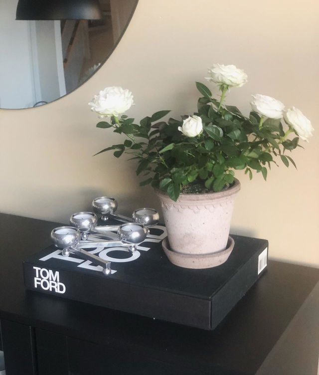 Tom Ford Book from New Mags | RoyalDesign