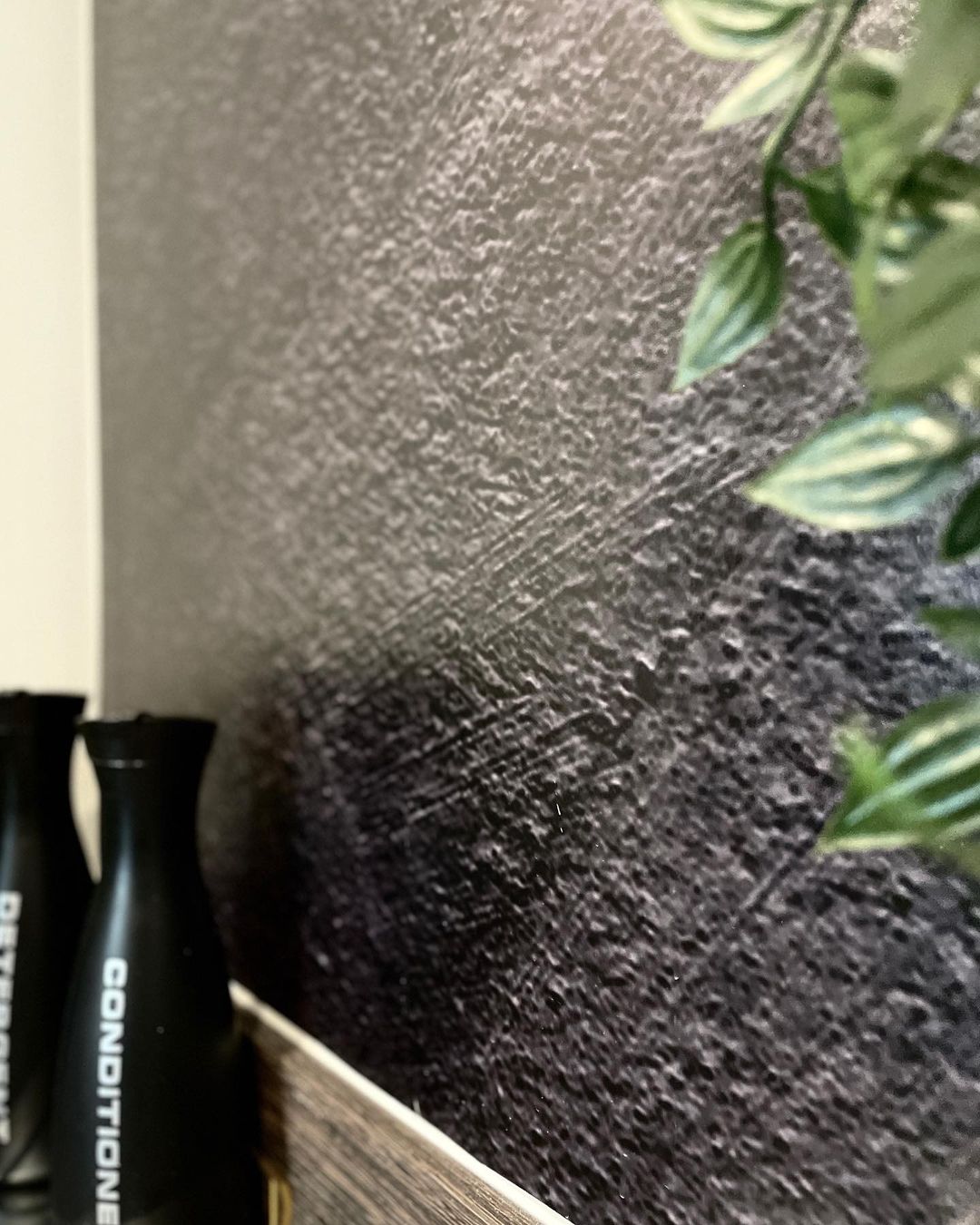 Närbild av svarta schampo- och balsamflaskor med växt och texturerad grå vägg.