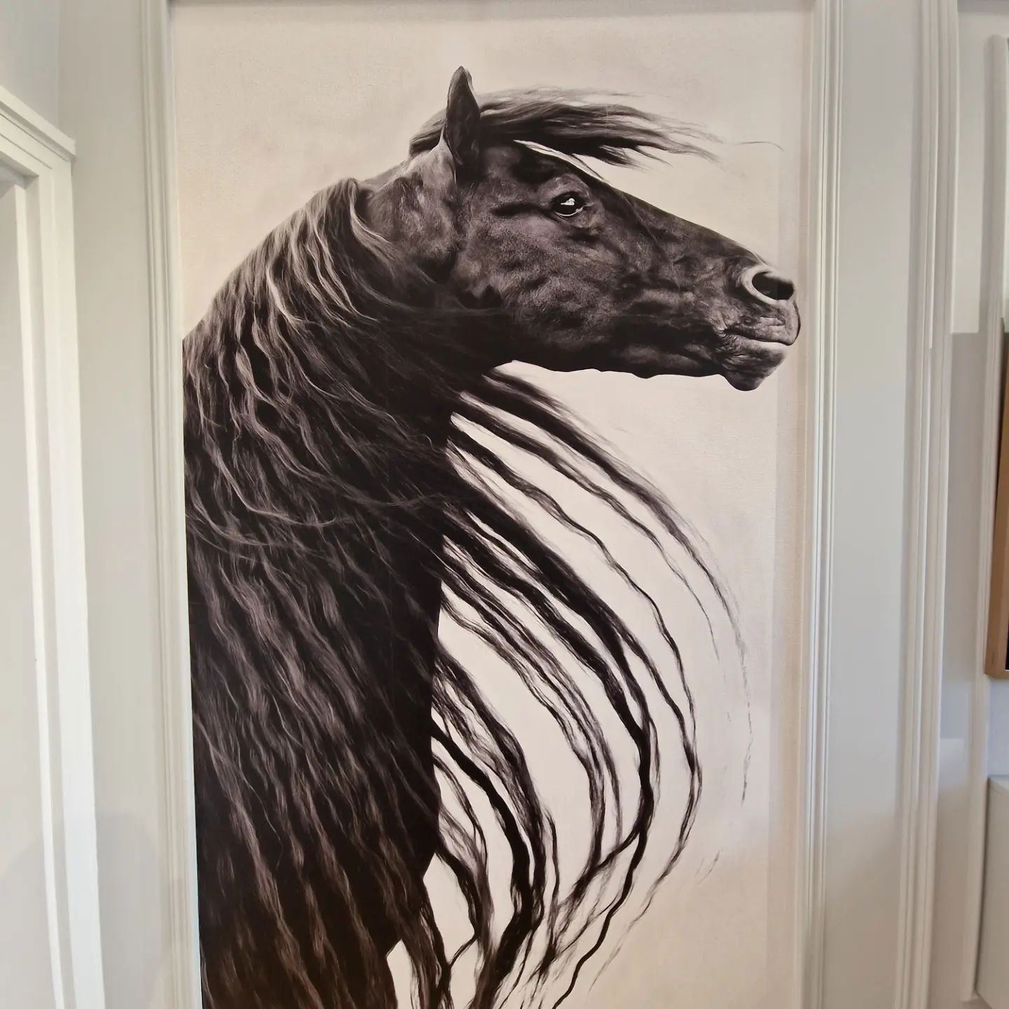 Black and white portrait of a horse with a long flowing mane.