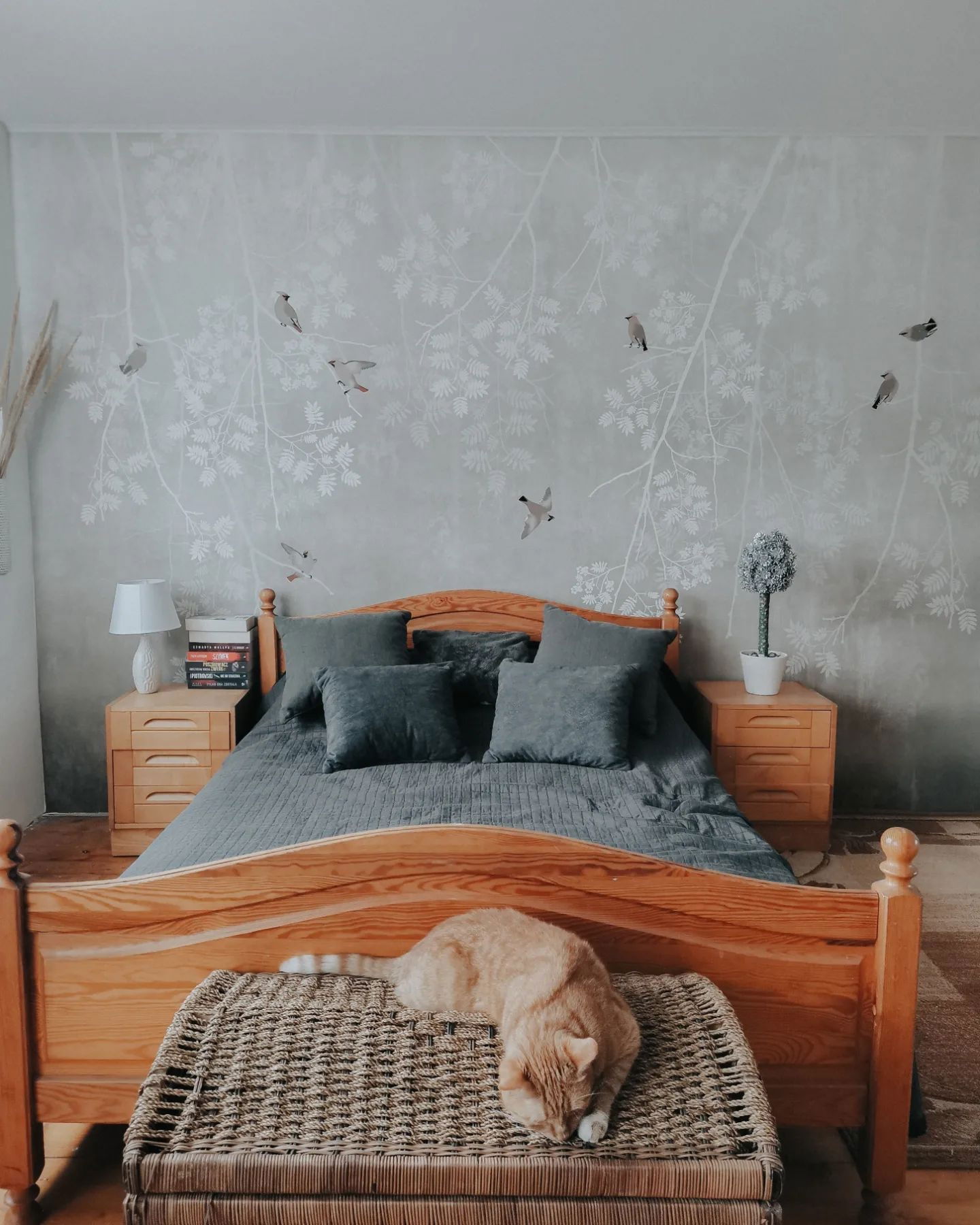 Bedroom with wooden bed, gray bedding, bird wallpaper, and orange cat on a wicker chest.